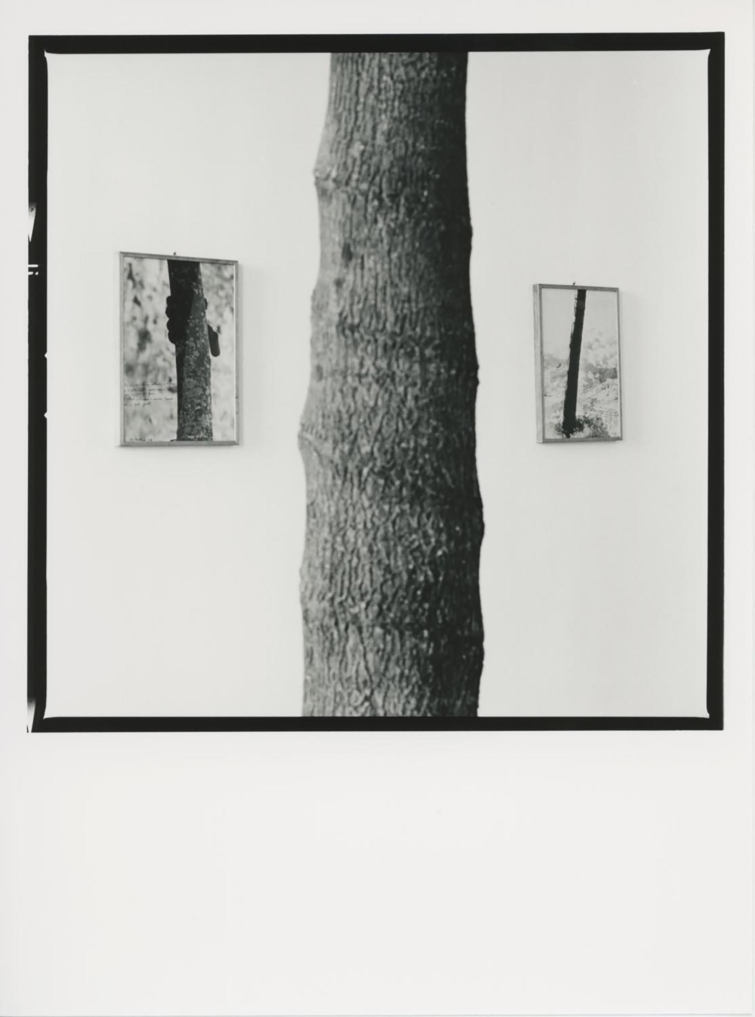 Giuseppe Penone, Alpi marittime, 1968 and Alpi marittime, 1968-85